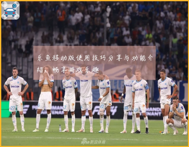 乐鱼移动版使用技巧分享与功能介绍，畅享游戏乐趣