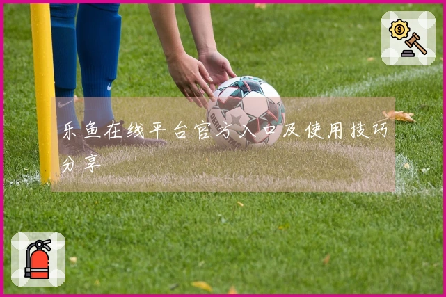 乐鱼在线平台官方入口及使用技巧分享