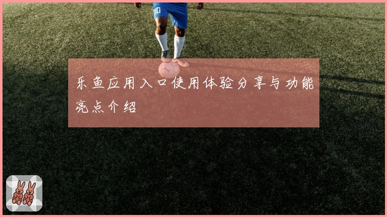 乐鱼应用入口使用体验分享与功能亮点介绍