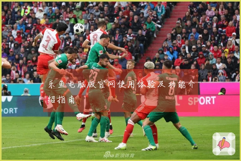 乐鱼电脑版官网使用体验及功能介绍指南