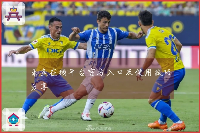 乐鱼在线平台官方入口及使用技巧分享