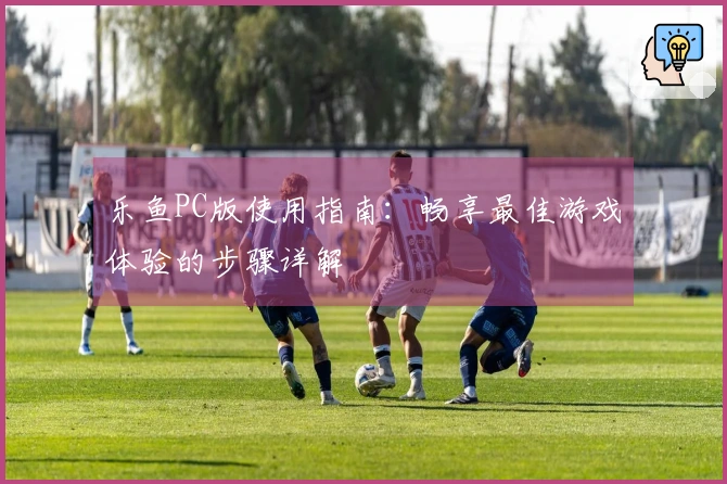 乐鱼PC版使用指南：畅享最佳游戏体验的步骤详解